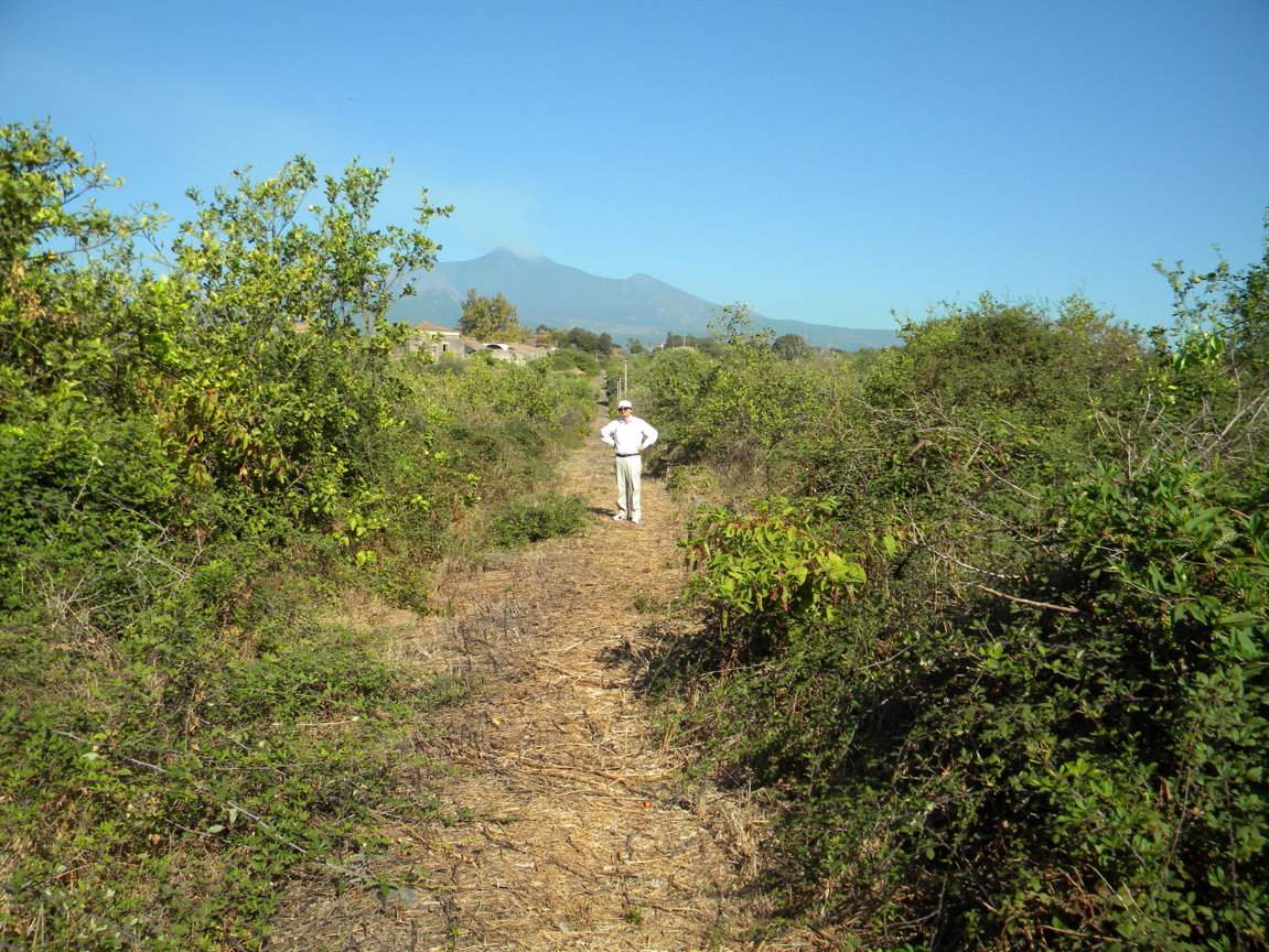 DSCN8154 .JPG